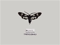 藏品(透翅碩斑蛾)的圖片